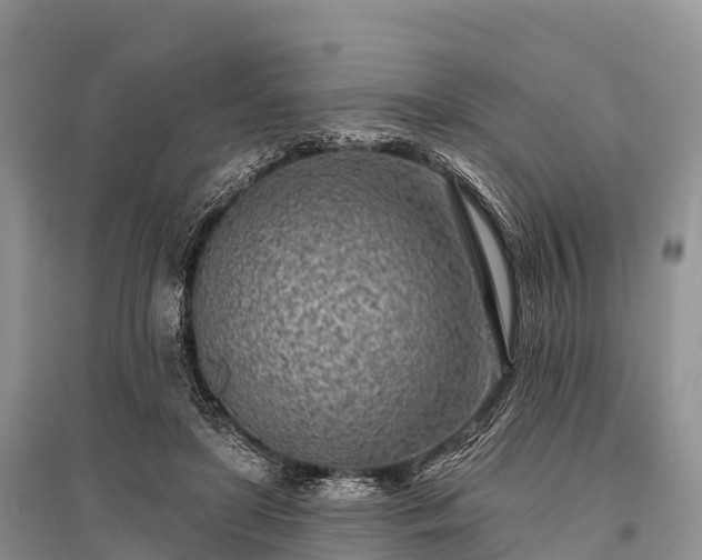 X0000096150451200801251108