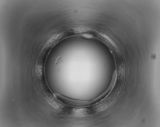 X0000096150452200801251108