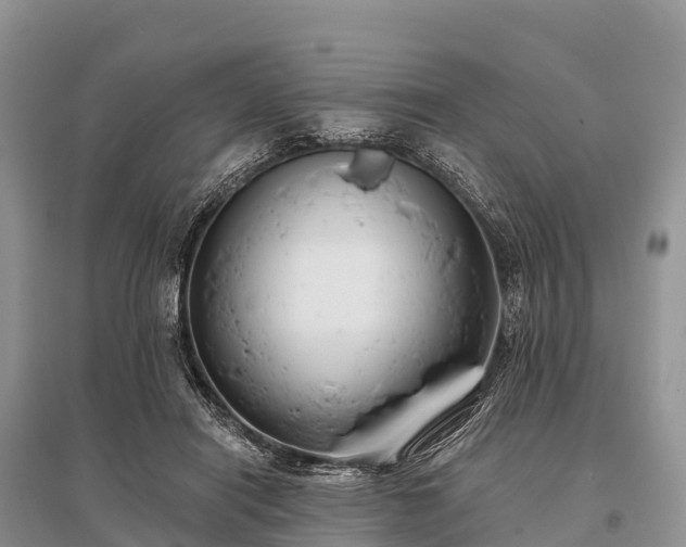 X0000096150454200801251108