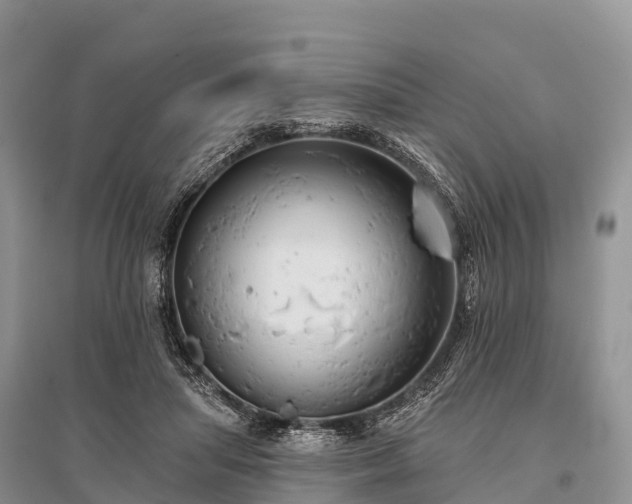 X0000096150455200801251108