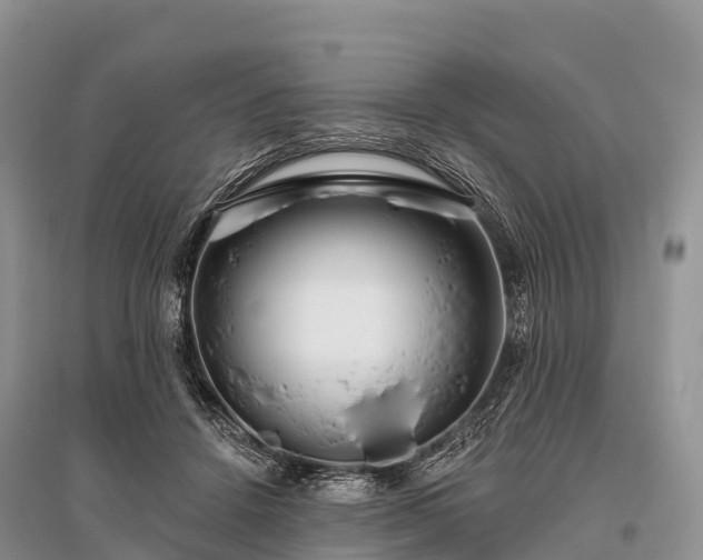 X0000096150456200801251108