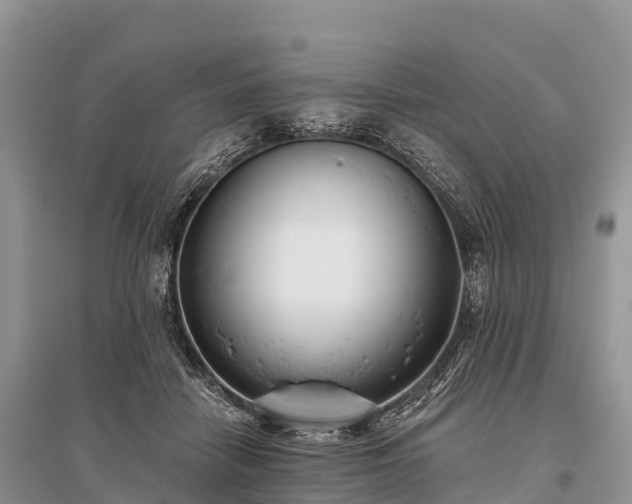 X0000096150458200801251108