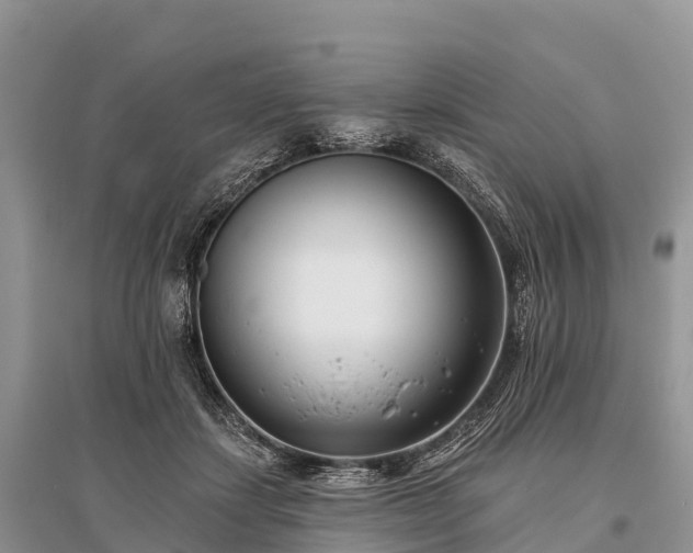 X0000096150459200801251108