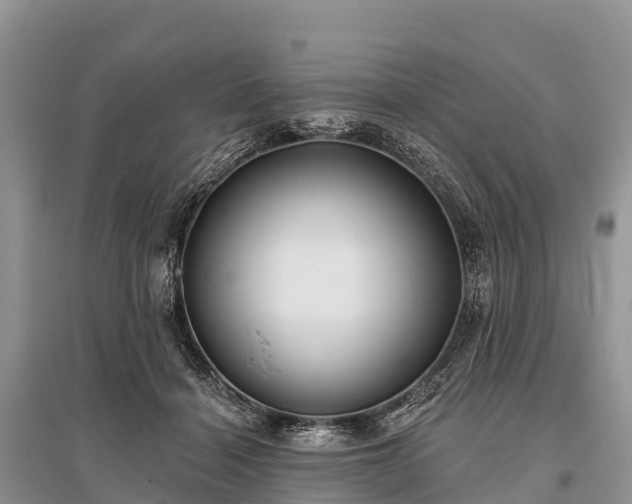 X0000096150460200801251108