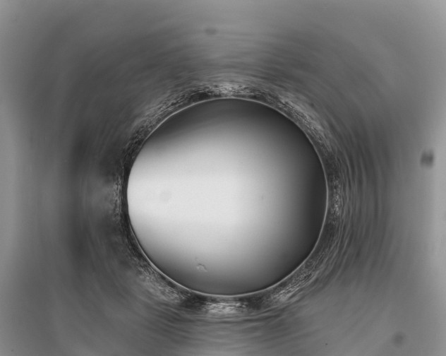 X0000096150461200801251108