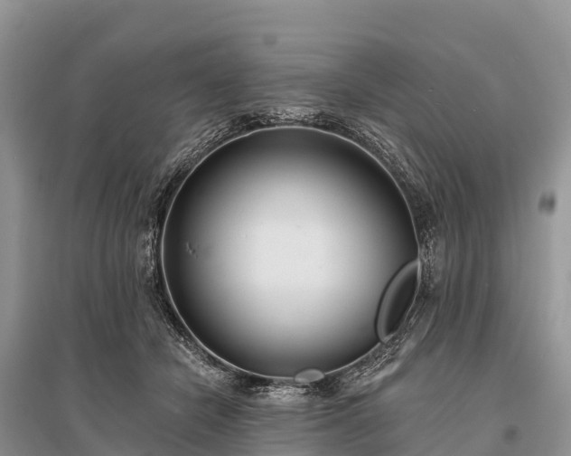 X0000096150462200801251108
