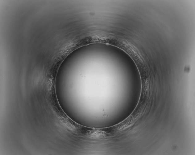 X0000096150463200801251108