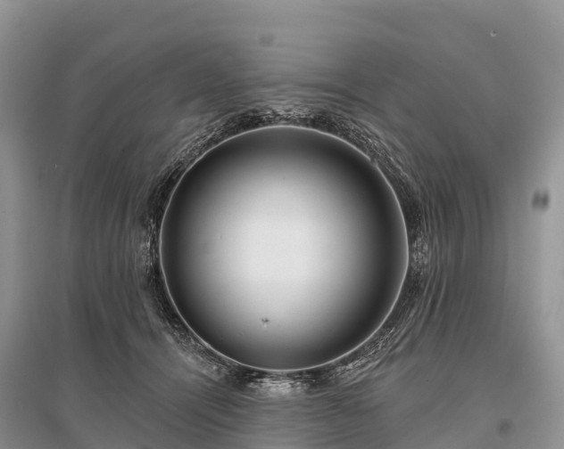 X0000096150464200801251108