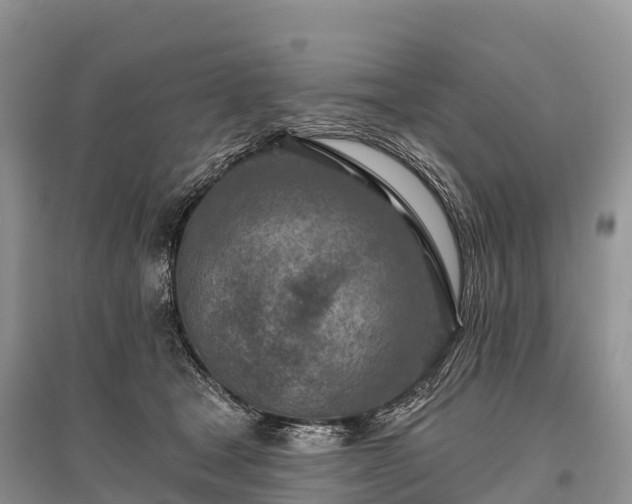 X0000096150465200801251108