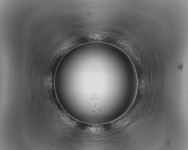X0000096150466200801251108