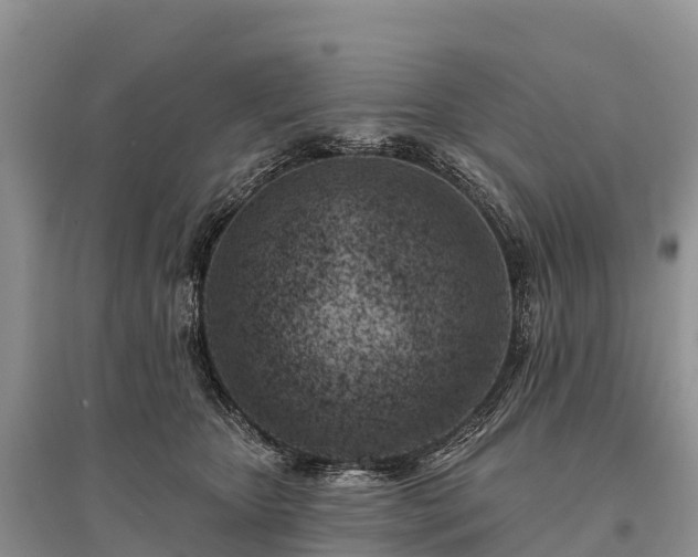 X0000096150467200801251108