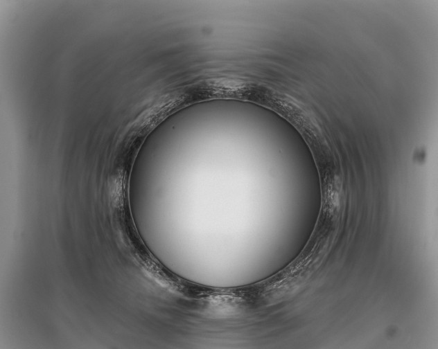 X0000096150468200801251108