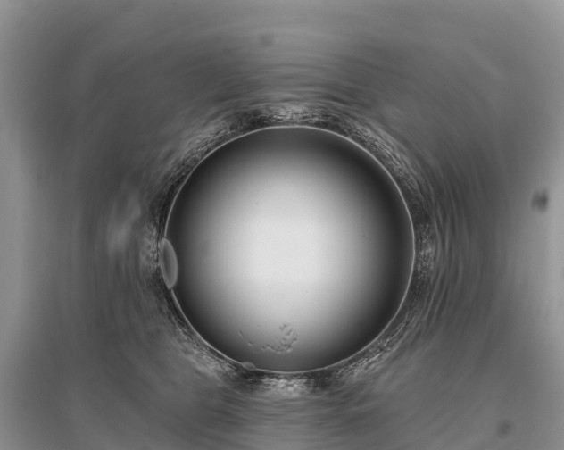 X0000096150469200801251108