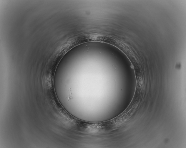 X0000096150470200801251108