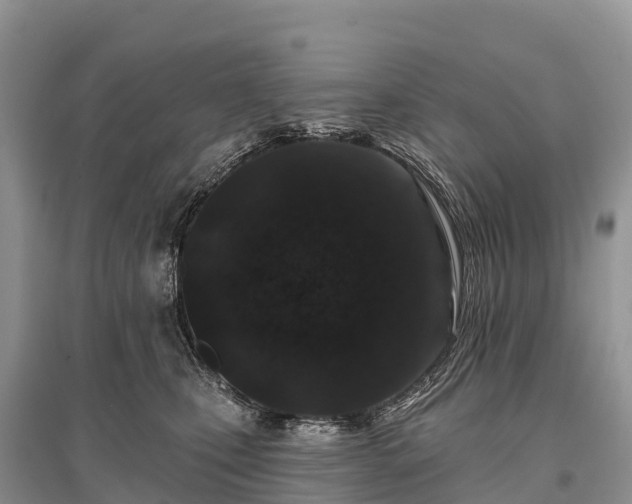 X0000096150471200801251108