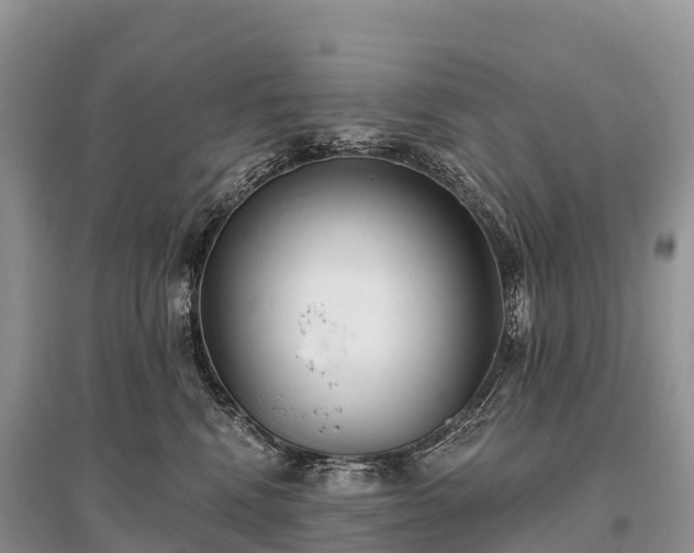 X0000096150472200801251108