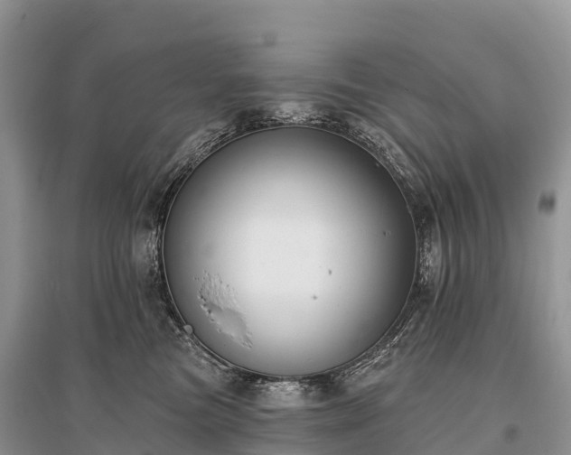 X0000096150473200801251108
