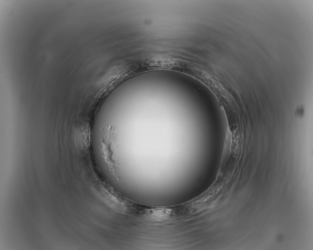 X0000096150474200801251108