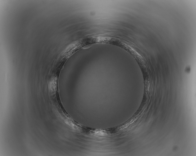 X0000096150475200801251108