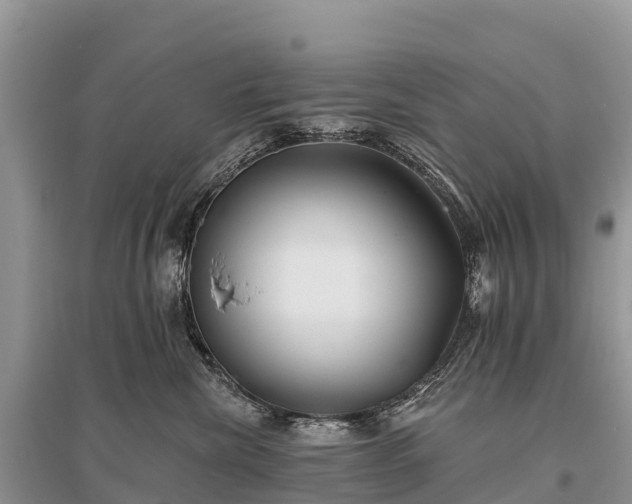X0000096150476200801251108