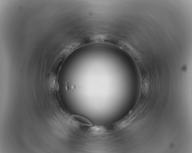 X0000096150477200801251108