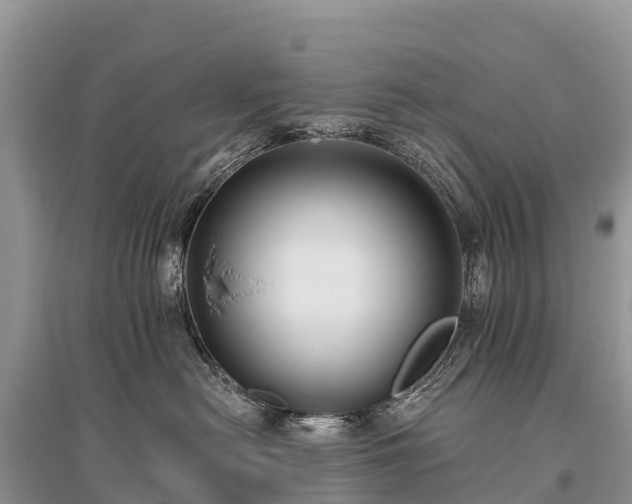 X0000096150478200801251108