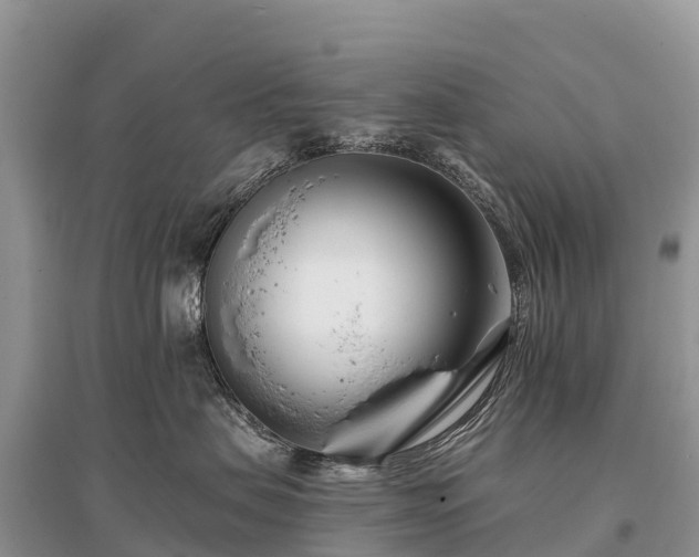 X0000096150479200801251108