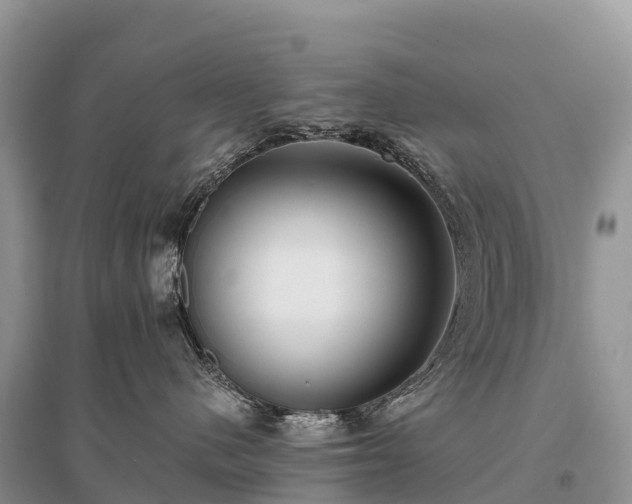X0000096150480200801251108