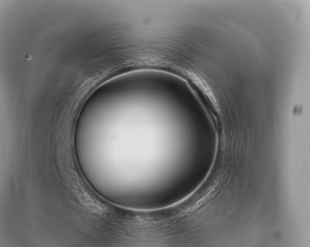 X0000096150481200801251108