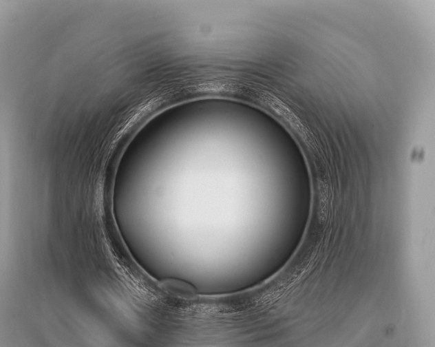 X0000096150482200801251108
