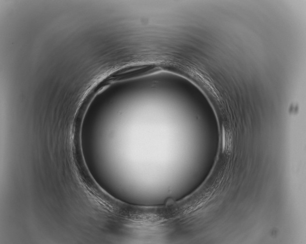 X0000096150483200801251108