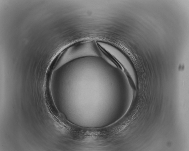X0000096150484200801251108