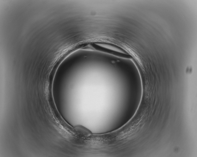 X0000096150485200801251108