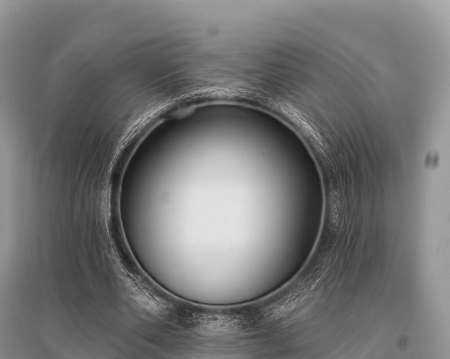 X0000096150486200801251108