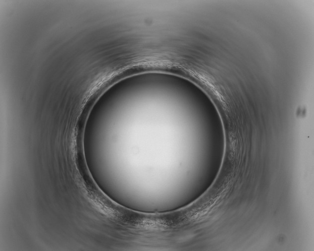 X0000096150487200801251108