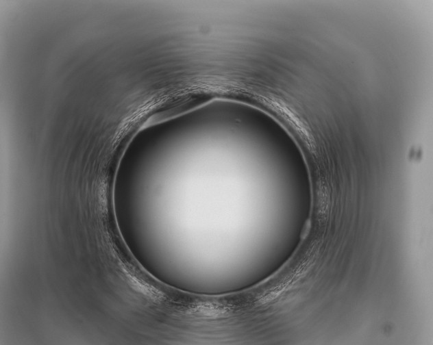 X0000096150489200801251108
