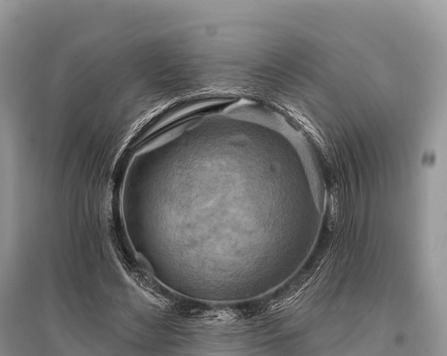 X0000096150492200801251108