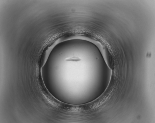 X0000096150493200801251108