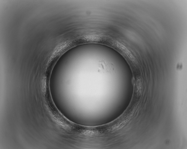 X0000096150494200801251107