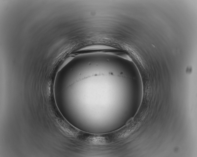 X0000096150501200801251107