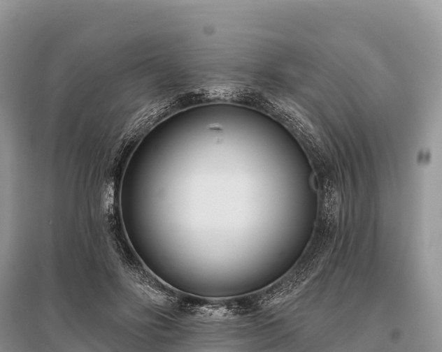 X0000096150502200801251107