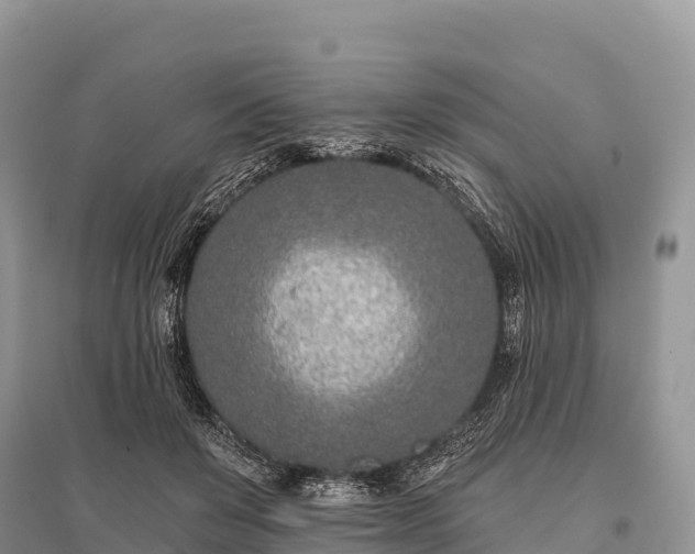 X0000096150503200801251107