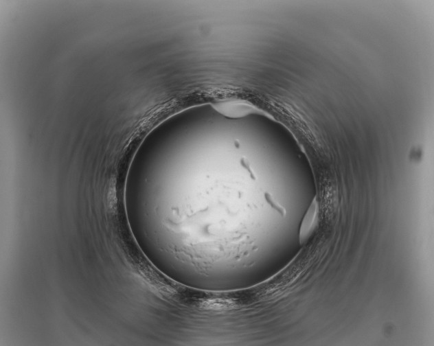 X0000096150508200801251107