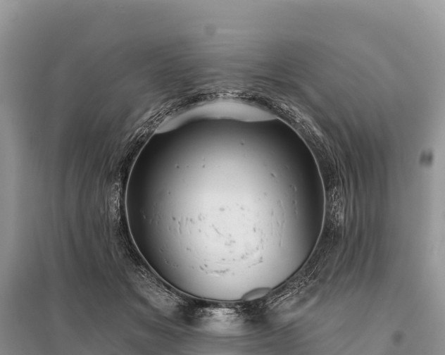 X0000096150509200801251107