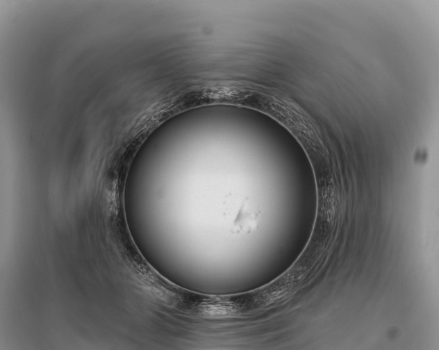 X0000096150510200801251107