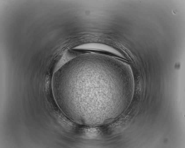 X0000096150513200801251107