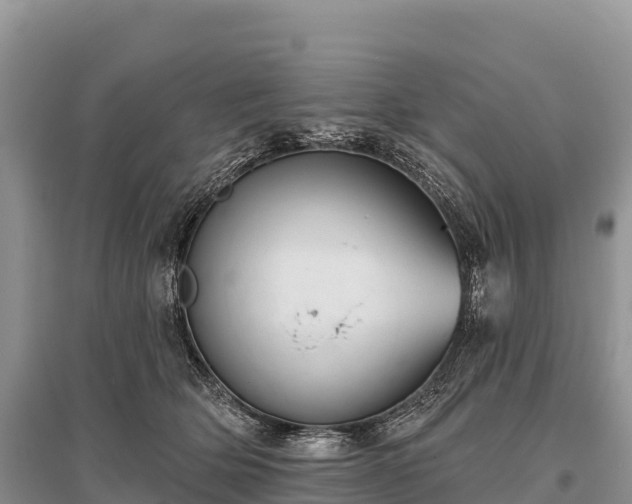 X0000096150514200801251107