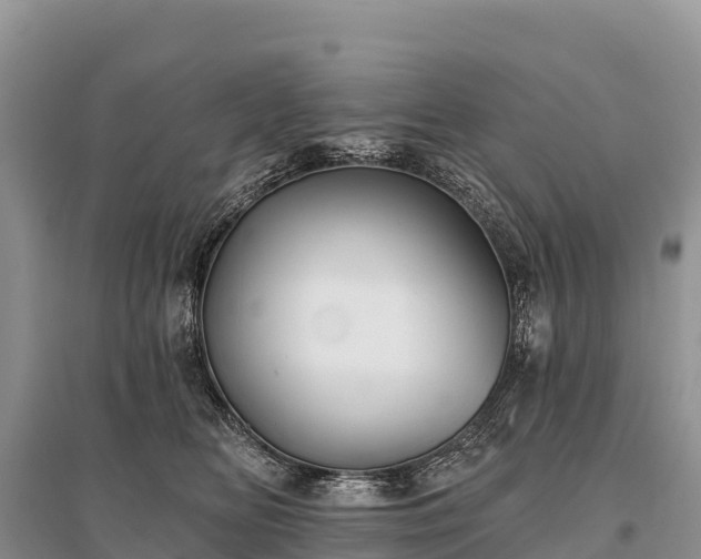 X0000096150518200801251107