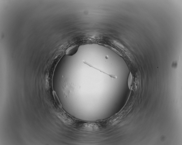 X0000096150520200801251107