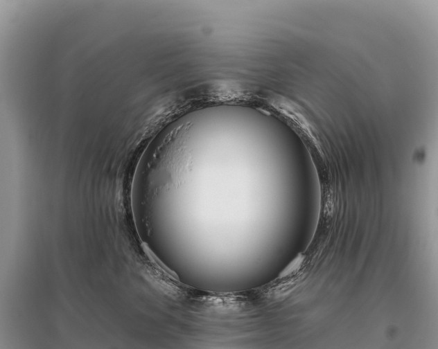 X0000096150524200801251107